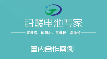 鉛酸蓄電池的國內(nèi)合作...